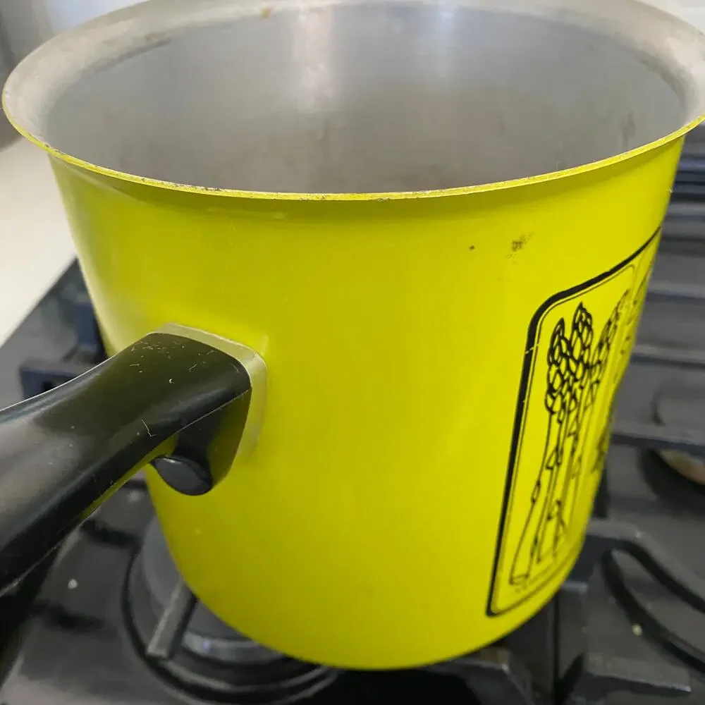 Rare Wear Ever 3Qt Vegetable Pot Vintage Green USA Made With Lid Cooking Kitchen